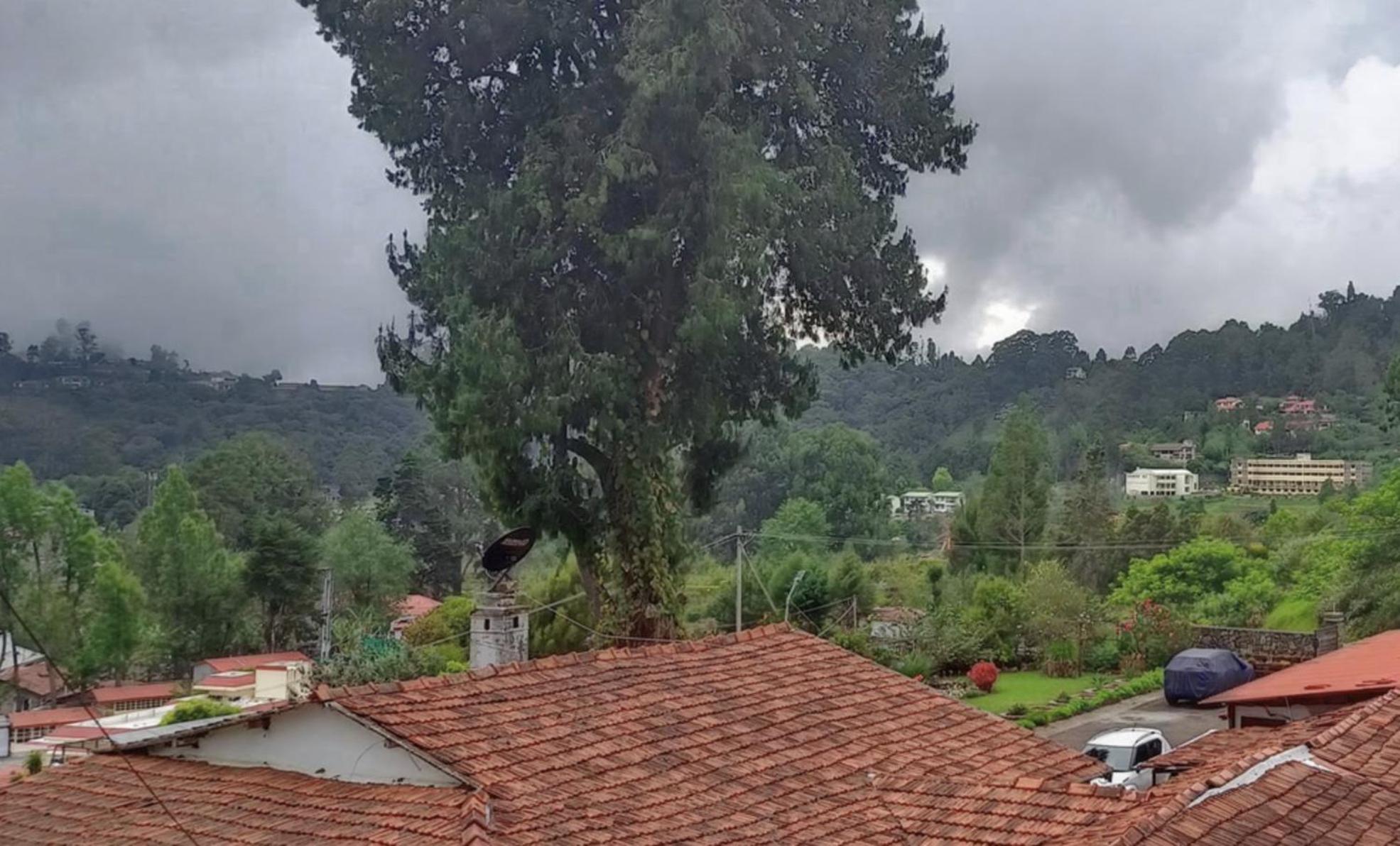 קודאיקנאל Mountain Retreat Kodai מראה חיצוני תמונה